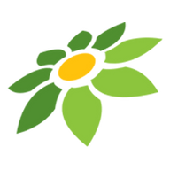 KINEMASTER APK MOD